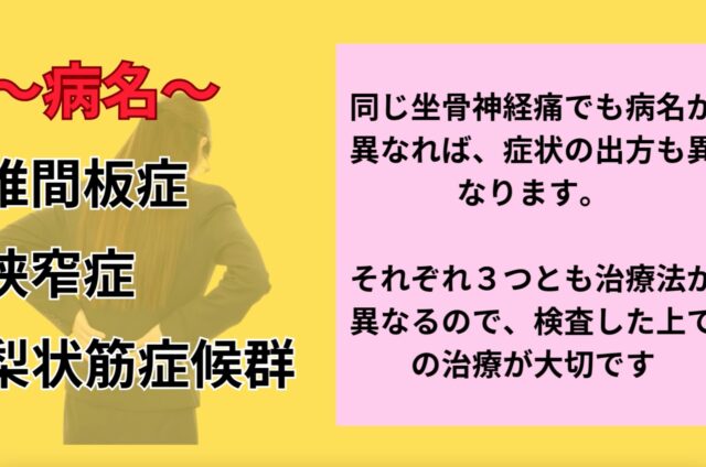 坐骨神経痛の実態