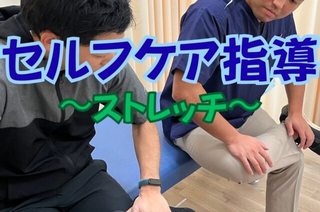 セルフケア　ストレッチ