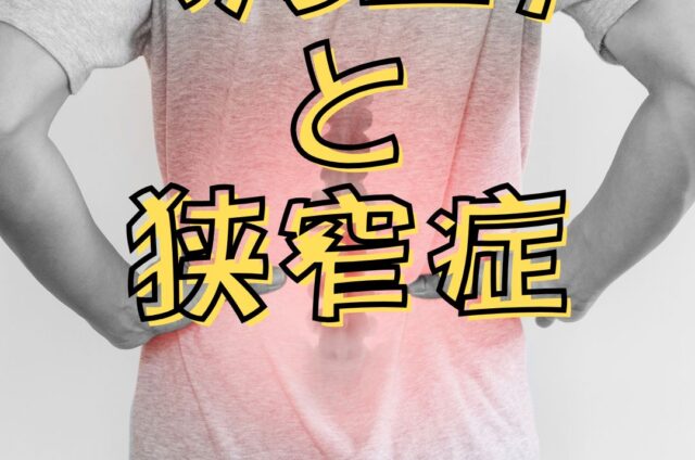ヘルニア　狭窄症　腰痛