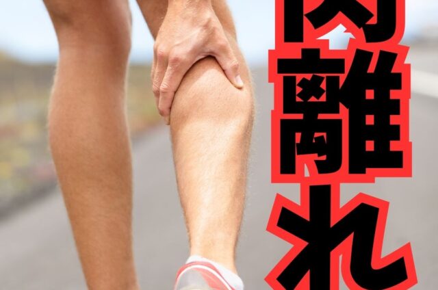 肉ばなれ