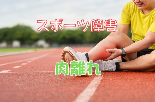 肉離れ　肉ばなれ
