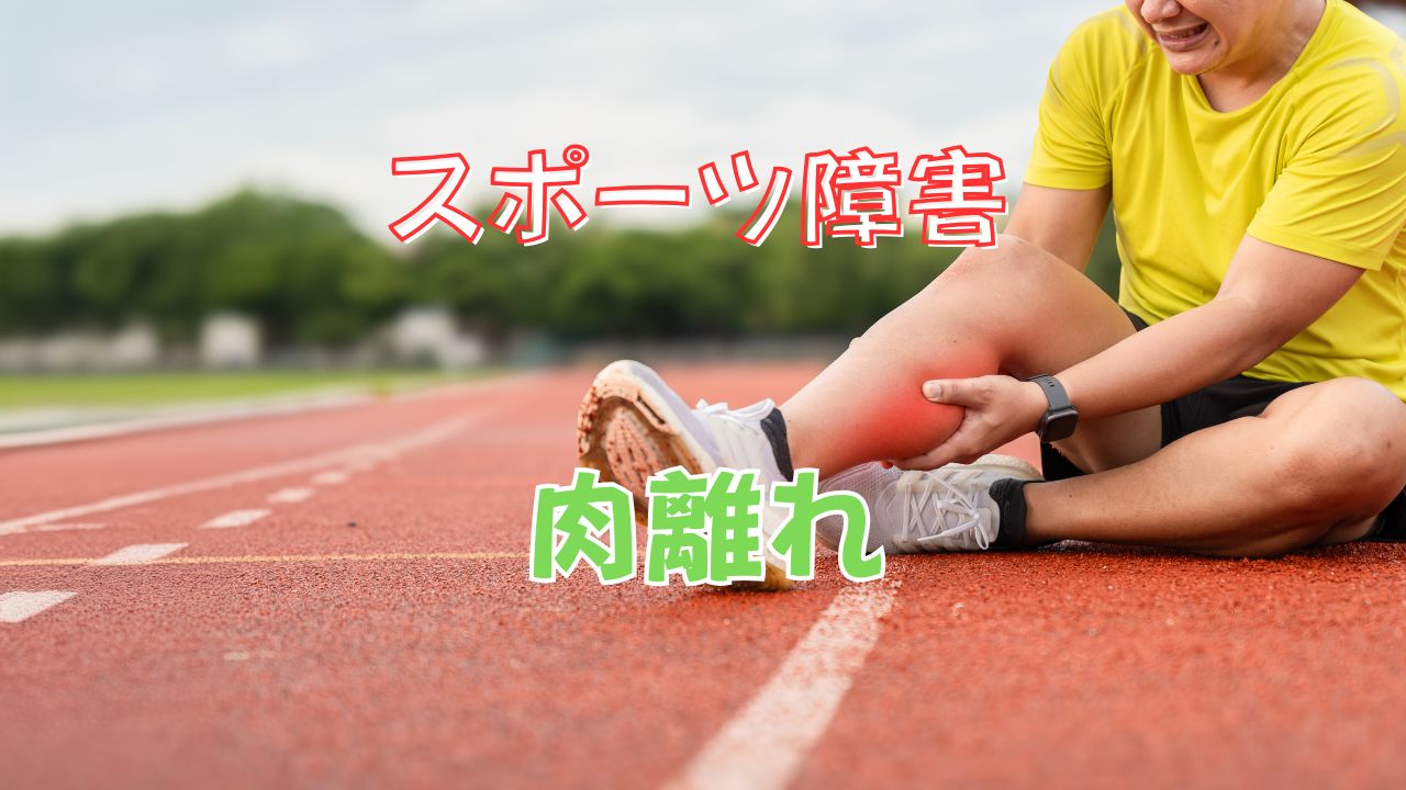 肉離れ　肉ばなれ