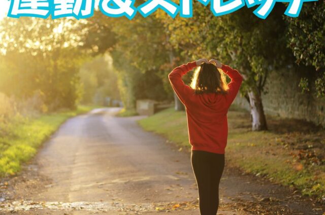 適度な運動