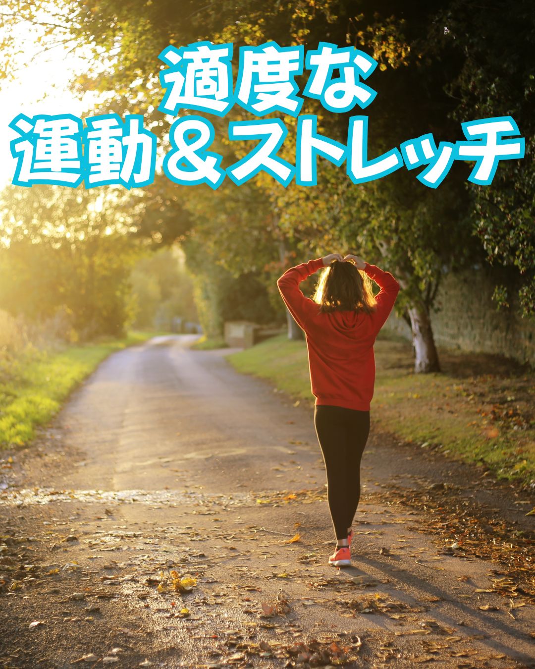 適度な運動