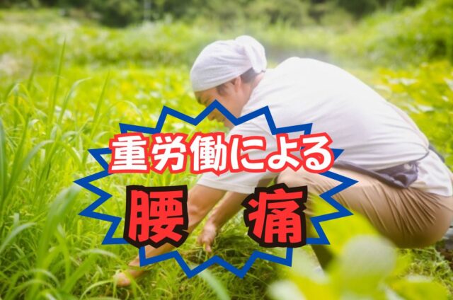 重労働による腰痛　腰の痛み
