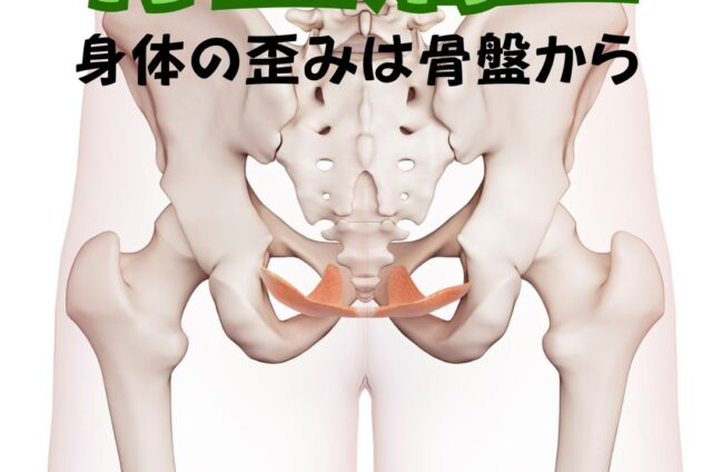 骨盤の歪み　骨盤矯正